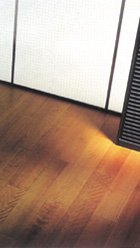 ������� ���������� ������� � ������� ���� ���������� ����, ��������� � �������� ��������������� (�� ���������� ����� Amorim)