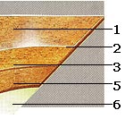 '���������' ��������